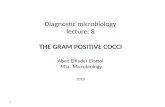 Diagnostic microbiology lecture: 8 THE GRAM POSITIVE COCCI Abed ElKader Elottol MSc. Microbiology 2010 1.