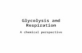 Glycolysis and Respiration A chemical perspective.