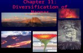 Chapter 11: Diversification of Magmas. Magmatic Differentiation l Any process by which a magma is able to diversify and produce a magma or rock of different.