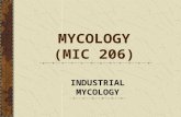 INDUSTRIAL MYCOLOGY MYCOLOGY (MIC 206). FOOD AND BEVERAGES INDUSTRIES