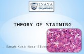 Dr. Samah Kotb Nasr Eldeen.  Several types of staining processes are used to color tissues for microscopical examination.  Staining methods depend.