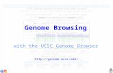 Genome Browsing with the UCSC Genome Browser