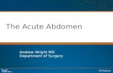 The Acute Abdomen Andrew Wright MD Department of Surgery.