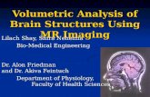 Volumetric Analysis of Brain Structures Using MR Imaging Lilach Shay, Shira Nehemia Bio-Medical Engineering Dr. Alon Friedman and Dr. Akiva Feintuch Department.