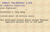 EARLY PALEOZOIC LIFE Cambrian Explosion Evolution’s “big bang” lasted about 10 million years All principal animal phyla except Bryozoa appeared between.