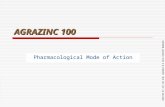 EDDITED BY JIN-TAE KIM, AGRANCO N.E ASIA COUNTRY MANAGER AGRAZINC 100 Pharmacological Mode of Action.