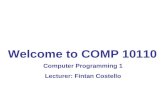 Welcome to COMP 10110 Computer Programming 1 Lecturer: Fintan Costello.