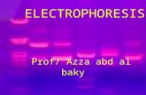 ELECTROPHORESIS Prof/ Azza abd al baky. Electrophoresis is the migration of charged molecules,particles or ion in a liquid medium under the influence.