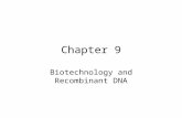 Chapter 9 Biotechnology and Recombinant DNA. Biotechnology The use of microorganisms, cells, or cell components to make a product –Foods that are produced.