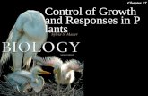 Control of Growth and Responses in Plants Chapter 27.