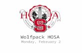 Wolfpack HOSA Monday, February 2. Officers 2014-2015 President: Erin Beasley President-Elect: Kyle Bingham Secretary: Lauren Mueller Treasurer: Shri Beyagudem.