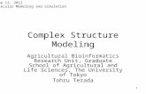 Complex Structure Modeling Agricultural Bioinformatics Research Unit, Graduate School of Agricultural and Life Sciences, The University of Tokyo Tohru.