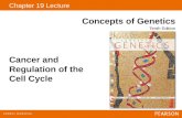 Chapter 19 Lecture Concepts of Genetics Tenth Edition Cancer and Regulation of the Cell Cycle.