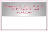 Chapter 5, 6.1, & 6.2: Cell Growth and Division. KEY CONCEPT : Cells have distinct phases of growth, reproduction, and normal functions. 5.1 The Cell.