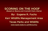 SCORING ON THE HOOF (Based on Boone and Crockett Club criteria) By: Eugene R. Fuchs Kerr Wildlife Management Area Texas Parks and Wildlife .