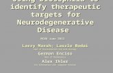 Using Drosophila to identify therapeutic targets for Neurodegenerative Disease MCBU June 2012 Larry Marsh; Laszlo Bodai Dept of Developmental and Cell.