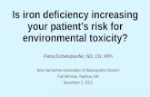 Is iron deficiency increasing your patient’s risk for environmental toxicity? Petra Eichelsdoerfer, ND, CN, RPh New Hampshire Association of Naturopathic.