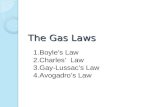 The Gas Laws 1.Boyle’s Law 2.Charles’ Law 3.Gay-Lussac’s Law 4.Avogadro’s Law.