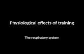 Physiological effects of training The respiratory system.