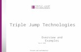 Triple Jump Technologies Overview and Examples March 2008 Private and Confidential.