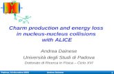 Padova, 18 dicembre 2003 Andrea Dainese 1 Charm production and energy loss in nucleus-nucleus collisions with ALICE Andrea Dainese Università degli Studi.
