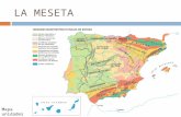 LA MESETA Mapa unidades morfoestructurale s. LA MESETA: Submeseta Norte Penillanura del Duero.