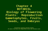 Chapter 4 BOT3015L Biology of Flowering Plants: Reproduction Gametophytes, Fruits, Seeds, and Embryos Presentation created by Danielle Sherdan All photos.