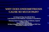 WHY DOES ENDOMETRIOSIS CAUSE SO MUCH PAIN? Dr Michael W Platt MA MB BS FRCA Lead Clinician in Pain Medicine, Consultant in Anaesthetics, Honorary Senior.