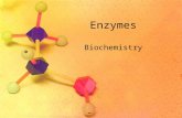 Enzymes Biochemistry. What You Need to Know! Enzymes work by lowering the energy of activation. The catalytic cycle of an enzyme that results in the production.