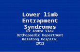 Lower limb Entrapment Syndromes Dr Andre Vlok Orthopaedic Department Kalafong hospital 2012.
