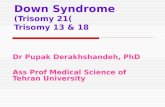 Down Syndrome (Trisomy 21( Trisomy 13 & 18 Dr Pupak Derakhshandeh, PhD Ass Prof Medical Science of Tehran University.