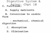 Digestive System & Aging- Chpt 10 I. Functions: A. Supply nutrients B. Conversion to usable form - mechanical, chemical digestion C. Absorption D. Elimination.