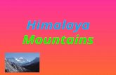 Himalaya Mountains Types of plants in the Himalayans There are thousands of beautiful plants in the Himalayas. Mushrooms, grasslands, tropical forests.