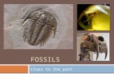 FOSSILS Clues to the past 1. Page 63 2  Fossils, November 18, 2014.