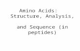 Amino Acids: Structure, Analysis, and Sequence (in peptides)