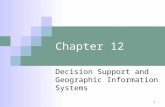 1 Chapter 12 Decision Support and Geographic Information Systems.