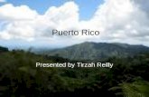 Puerto Rico Presented by Tirzah Reilly. History Independence Puerto Rico has always tried to gain independence for the island. The Spanish were the first.