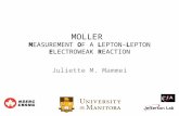 MOLLER M EASUREMENT O F A L EPTON -L EPTON E LECTROWEAK R EACTION Juliette M. Mammei.