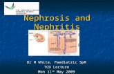 Nephrosis and Nephritis Dr M White, Paediatric SpR TCD Lecture Mon 11 th May 2009.