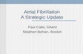 Atrial Fibrillation A Strategic Update Paul Calle, Ghent Stephen Bohan, Boston.