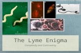 The Lyme Enigma Complexity and Controversy. Introduction to Lyme Disease infectious illness affecting all organ systems Ubiquity: reported in every state,