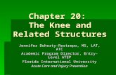 Chapter 20: The Knee and Related Structures Jennifer Doherty-Restrepo, MS, LAT, ATC Academic Program Director, Entry-Level ATEP Florida International University.