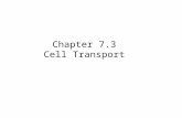 Chapter 7.3 Cell Transport. Warm-Up What do you know so far about the cell membrane? What do you want to know about the cell membrane?