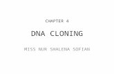 CHAPTER 4 DNA CLONING MISS NUR SHALENA SOFIAN. INTRODUCTION Scientists in early years were able to isolate fragments of DNA in vitro and covalently joined.