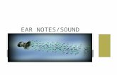 EAR NOTES/SOUND. SENSE ORGANS The sense organs gather information (light, sound, heat, and pressure) from the environment. Eyes, ears, nose, tongue, and.