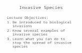 Invasive Species Lecture Objectives: 1.Be introduced to biological invasions 2.Know several examples of invasive species 3.Learn what you can do to stop.