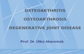 OSTEOARTHRITIS OSTEOARTHROSIS DEGENERATIVE JOINT DISEASE Prof. Dr. Ülkü Akarırmak.
