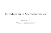 Introduction to Microeconomics Lecture 1 What is economics?