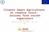 Aslihan Arslan Natural Resource Economist, EPIC-ESA FAO Climate Smart Agriculture at country level: lessons from recent experience.