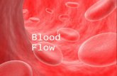 Blood Flow. Due to the pressure difference of two vessel ends.